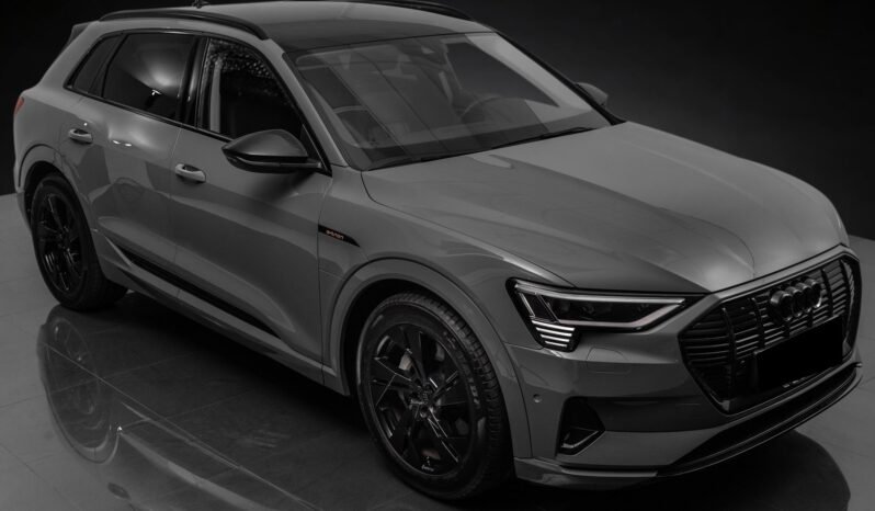 
								Audi e-tron 55 quattro Black Optics – ACC, Caméra, Cuir, Climatisation, Norvégien, Attelage full									
