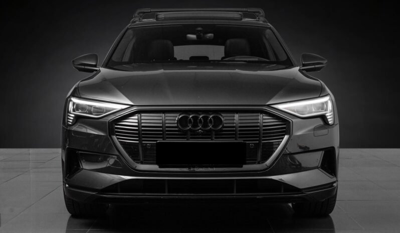 
								Audi e-tron 55 quattro Black Optics, 360°, HUD, ACC, Panoramique, Norvégien, HFeste, 1 propriétaire full									