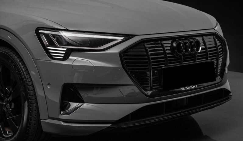 
								Audi e-tron 55 quattro Black Optics – ACC, Caméra, Cuir, Climatisation, Norvégien, Attelage full									