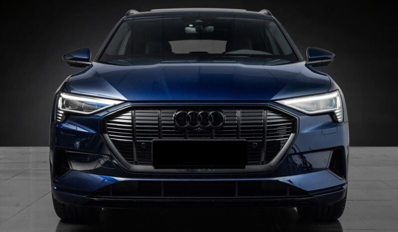 
								Audi e-tron 55 S-LINE Black Optics, B&O, ACC, 360 g, Panoramique, Matrix, Montage H full									