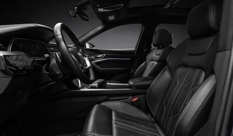 
								Audi e-tron 55 S-LINE Black Optics, B&O, ACC, 360 g, Panoramique, Matrix, Montage H full									
