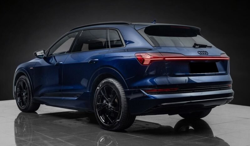 
								Audi e-tron 55 S-LINE Black Optics, B&O, ACC, 360 g, Panoramique, Matrix, Montage H full									