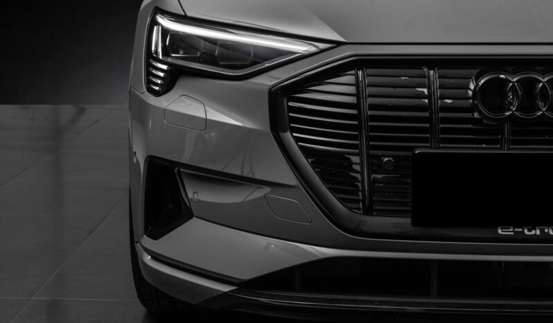 
								Audi e-tron 55 quattro Black Optics – ACC, Caméra, Cuir, Climatisation, Norvégien, Attelage full									