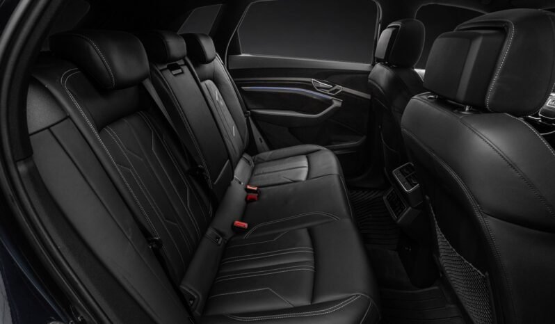 
								Audi e-tron 55 S-LINE Black Optics, B&O, ACC, 360 g, Panoramique, Matrix, Montage H full									