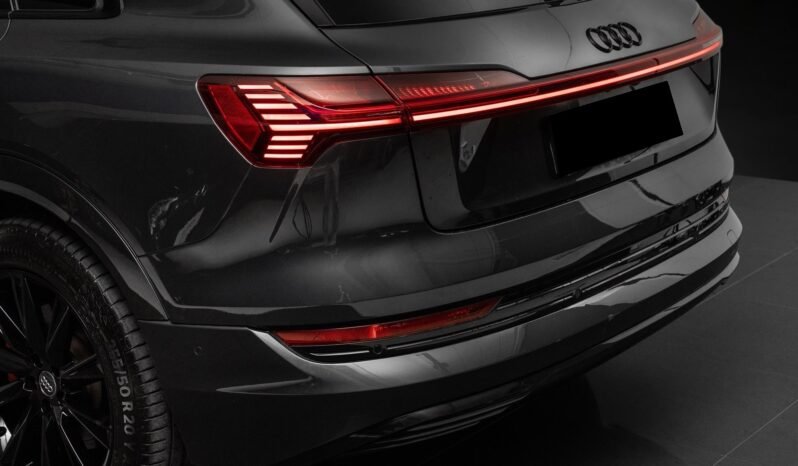 
								Audi e-tron 55 quattro Black Optics, 360°, HUD, ACC, Panoramique, Norvégien, HFeste, 1 propriétaire full									