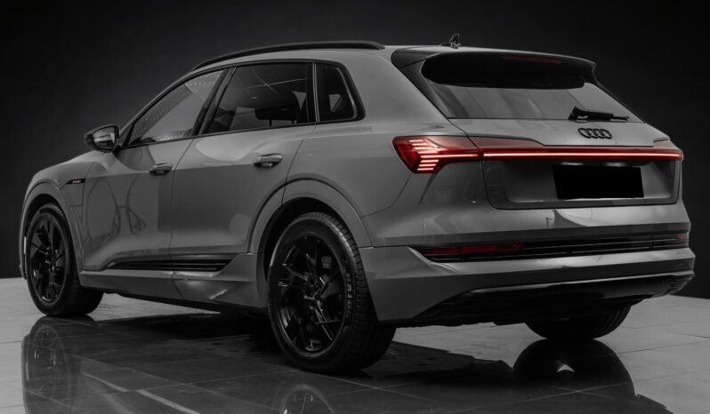 
								Audi e-tron 55 quattro Black Optics – ACC, Caméra, Cuir, Climatisation, Norvégien, Attelage full									