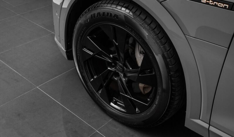 
								Audi e-tron 55 quattro Black Optics – ACC, Caméra, Cuir, Climatisation, Norvégien, Attelage full									
