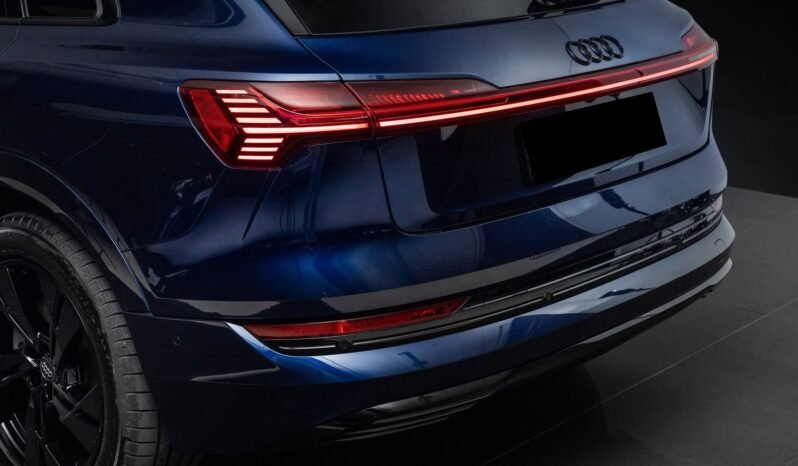 
								Audi e-tron 55 S-LINE Black Optics, B&O, ACC, 360 g, Panoramique, Matrix, Montage H full									