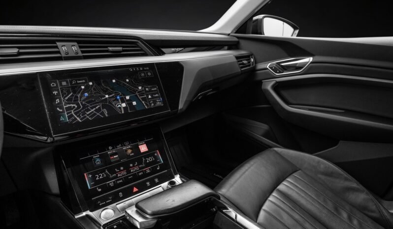 
								Audi e-tron 55 quattro Black Optics – ACC, Caméra, Cuir, Climatisation, Norvégien, Attelage full									
