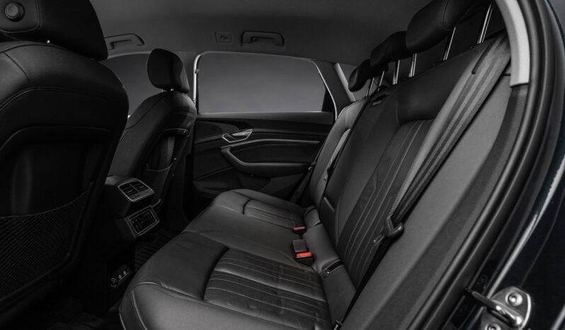 
								Audi e-tron 55 quattro Black Optics – ACC, Caméra, Cuir, Climatisation, Norvégien, Attelage full									