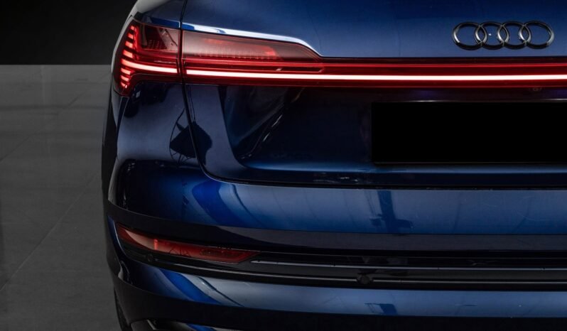 
								Audi e-tron 55 S-LINE Black Optics, B&O, ACC, 360 g, Panoramique, Matrix, Montage H full									
