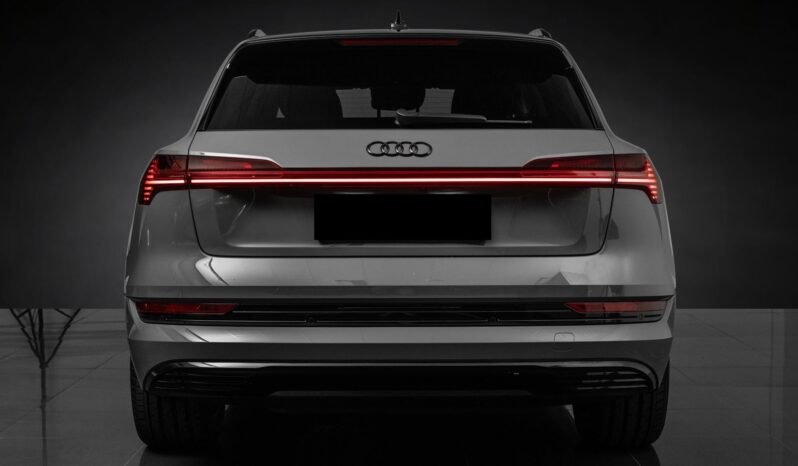 
								Audi e-tron 55 quattro Black Optics – ACC, Caméra, Cuir, Climatisation, Norvégien, Attelage full									