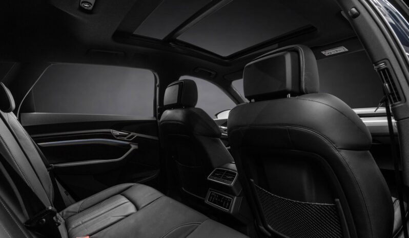 
								Audi e-tron 55 S-LINE Black Optics, B&O, ACC, 360 g, Panoramique, Matrix, Montage H full									