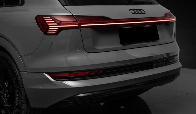 
								Audi e-tron 55 quattro Black Optics – ACC, Caméra, Cuir, Climatisation, Norvégien, Attelage full									