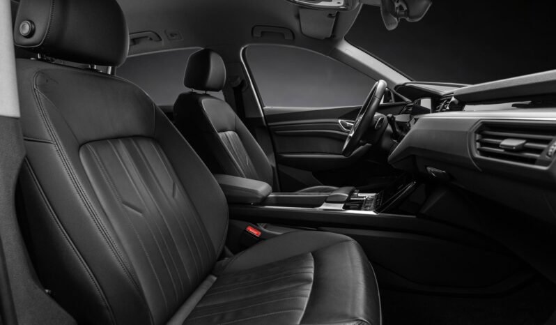 
								Audi e-tron 55 quattro Black Optics – ACC, Caméra, Cuir, Climatisation, Norvégien, Attelage full									
