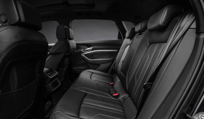 
								Audi e-tron 55 S-LINE Black Optics, B&O, ACC, 360 g, Panoramique, Matrix, Montage H full									