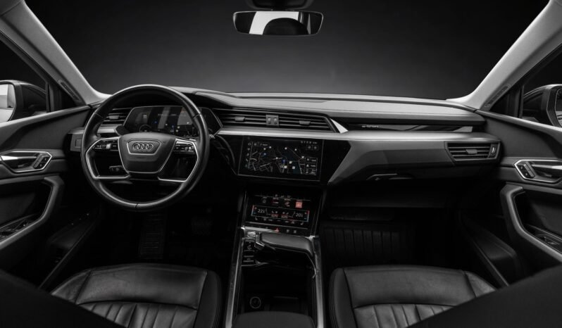
								Audi e-tron 55 quattro Black Optics – ACC, Caméra, Cuir, Climatisation, Norvégien, Attelage full									