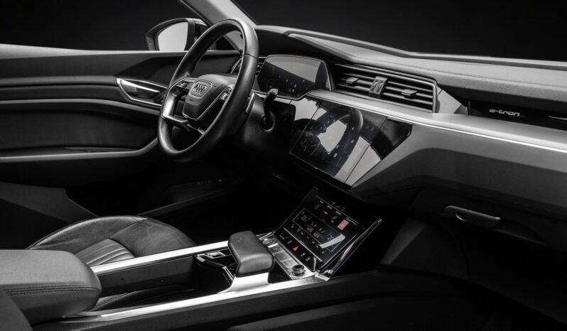 
								Audi e-tron 55 quattro Black Optics – ACC, Caméra, Cuir, Climatisation, Norvégien, Attelage full									